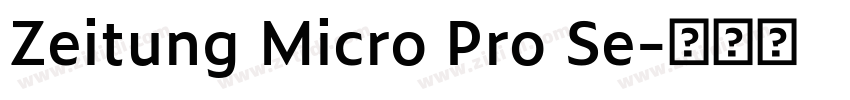 Zeitung Micro Pro Se字体转换